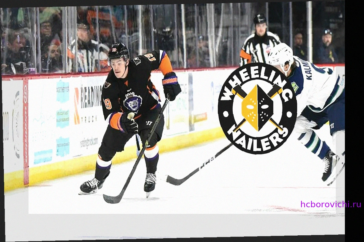 Bannister joins Nailers